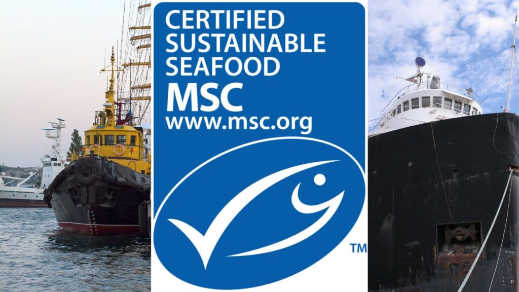 certificado MSC