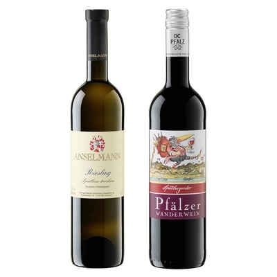 Mejores ideas de regalos para amantes del vino